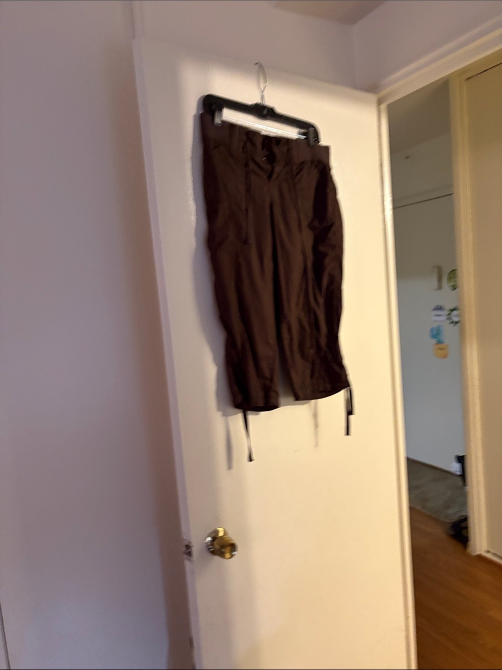 Casual Brown capris